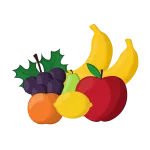 fruits