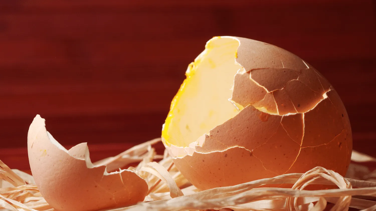 How to hatch chicken eggs with a heat lamp