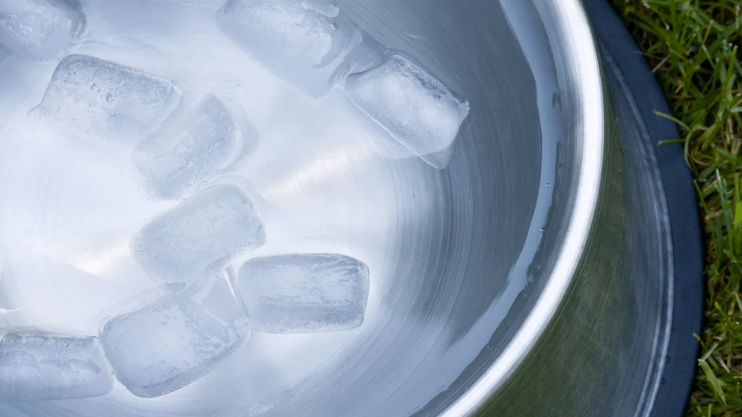 Keeping Water from Freezing in the Chicken Coop