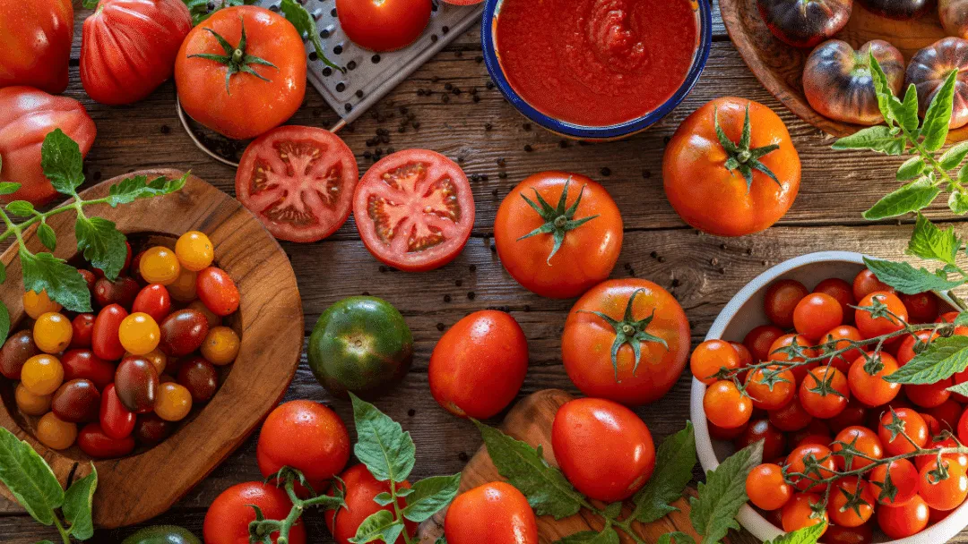 Can chickens eat tomatoesCan chickens eat tomatoes