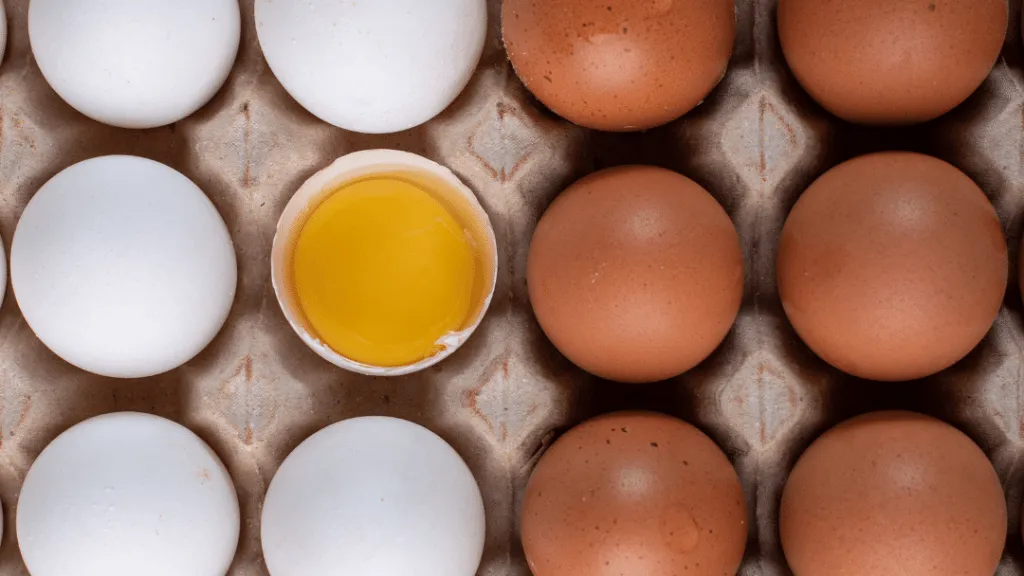 Are white eggs better than brown eggs?