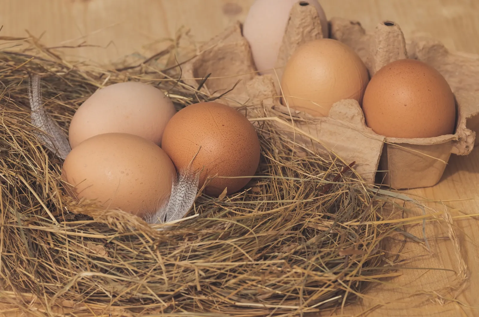 When do chickens start laying eggs