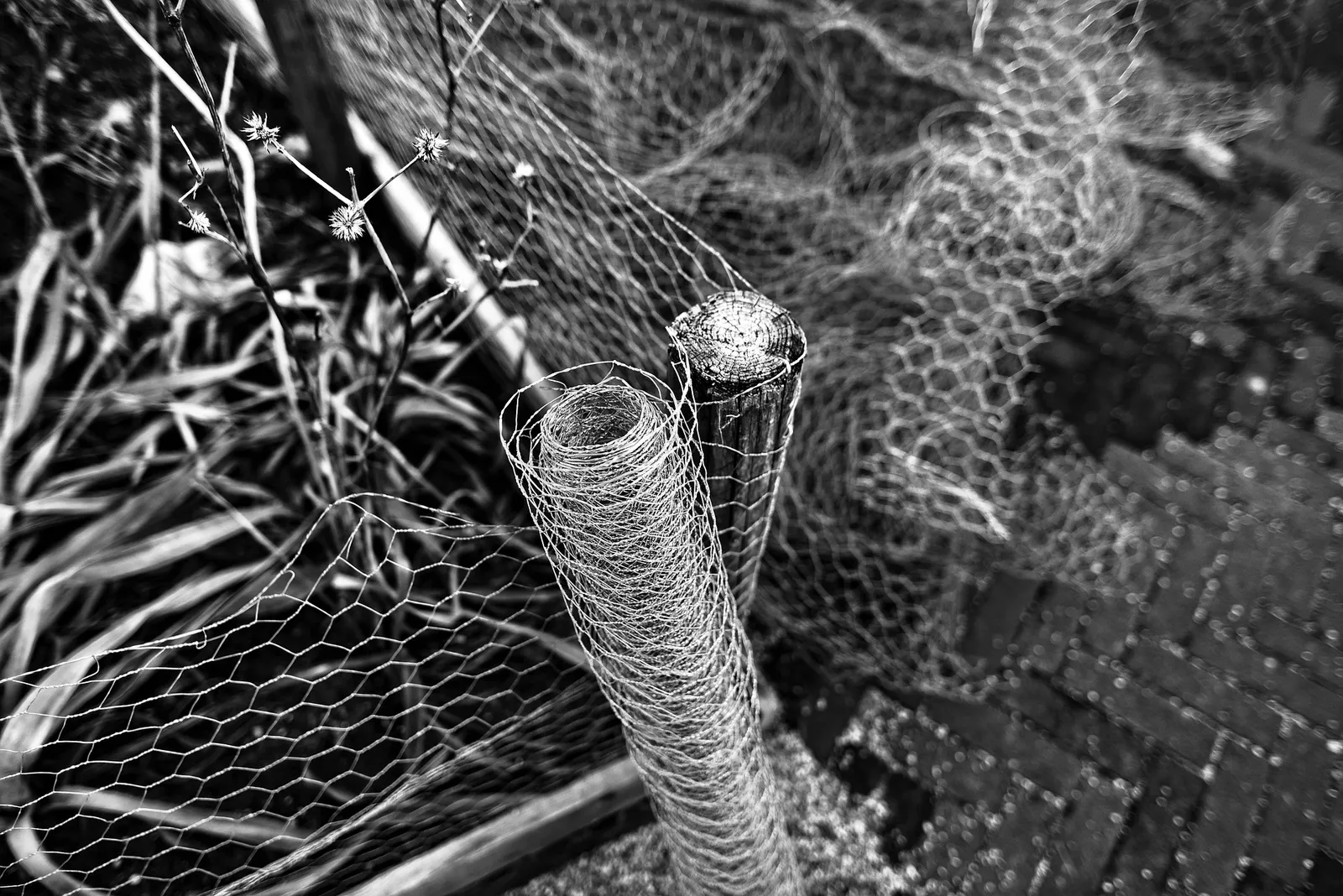 diy chicken wire fence
