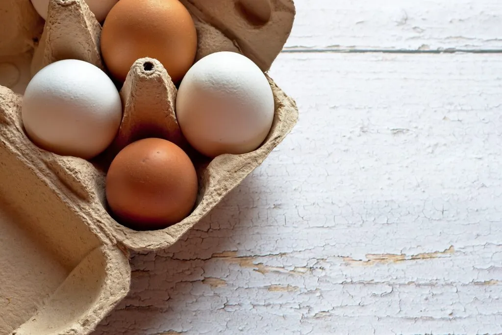 How to Incubate Chicken Eggs