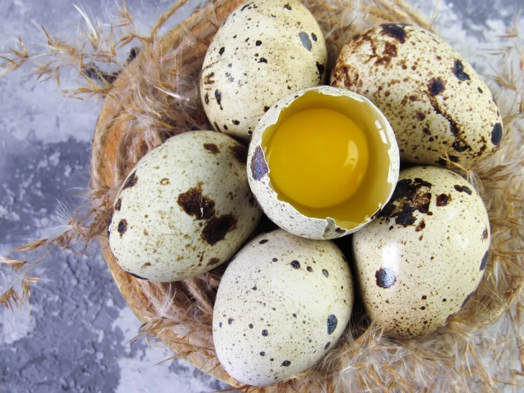 Maximizing Quail Productions